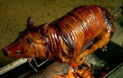 Cum să prăjiți un porc întreg pe un scuipat