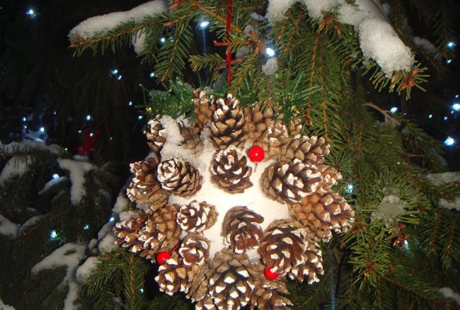 Joululeluja koristelemaan katukuusta tai mäntyä