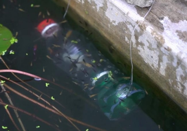 Kalastus muovipulloilla