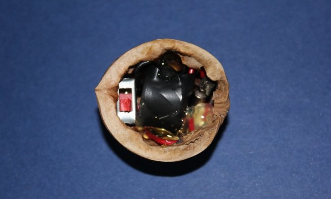 Robot - Ladybug
