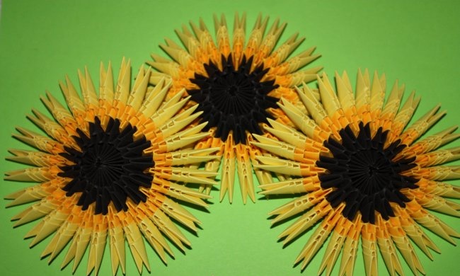 Floarea-soarelui de hârtie