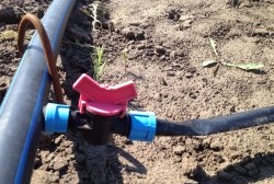 Lage en hage med vanningsanlegg