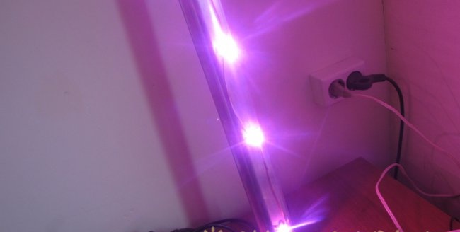Phyto LED-downlight