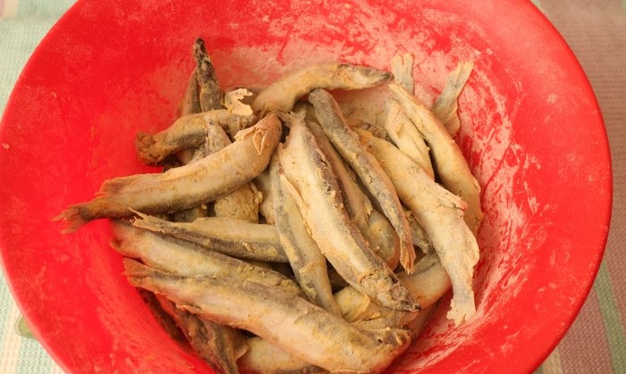 Hur man snabbt lagar en billig och välsmakande fiskrätter från lodde