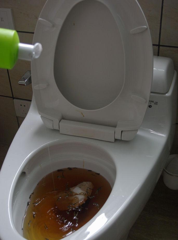 Kako očistiti začepljeni WC bez klipa