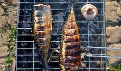 Makrela na grilu