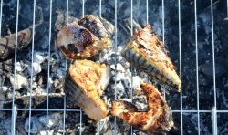 Mackerel slices on the grill