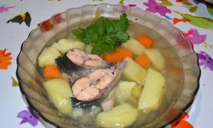 Öringfisk soppa