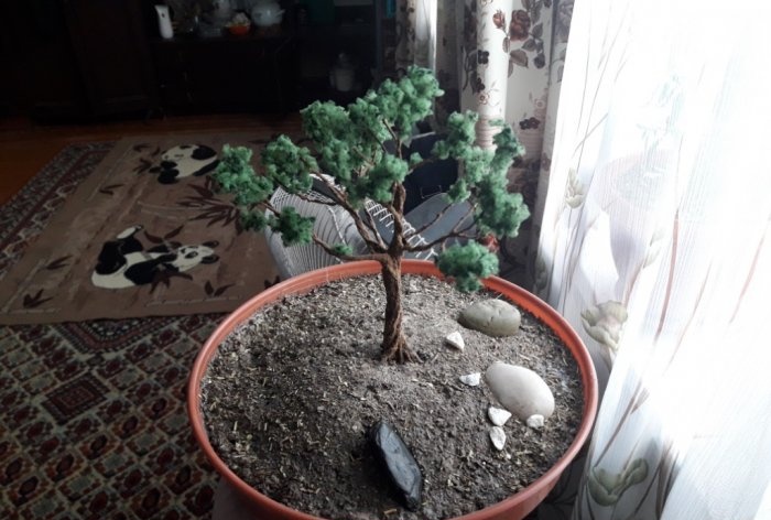 DIY bonsai träd