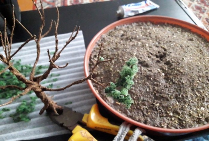Arborele bonsai DIY