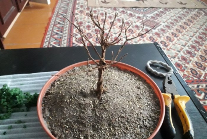 DIY bonsai träd