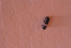 Søk etter metallgjenstander i veggen med en liten magnet