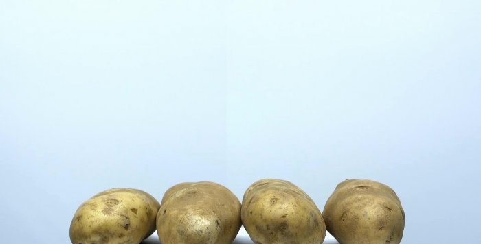 Pagkuha ng patatas na almirol