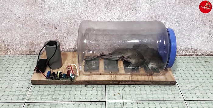 Kā padarīt 12 voltu elektrisko slazdu pelēm un žurkām