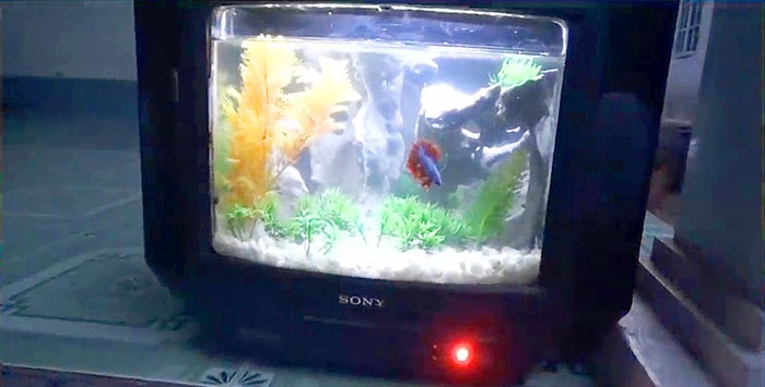Cara membuat akuarium dari TV lama