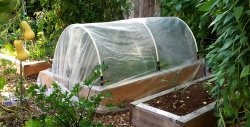 Do-it-yourself simple greenhouse made of PVC pipes