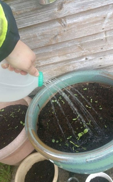 Hur man gör en fullfjädrad trädgårdsvattenburk från en kapsel på 2 minuter