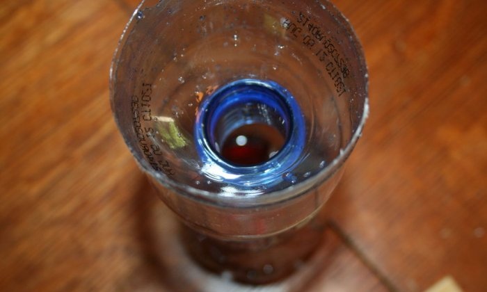 كيفية صنع فخ فعال للدبابير من زجاجة بلاستيكية