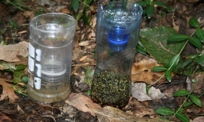 Wie man aus einer Plastikflasche eine wirksame Falle für Wespen macht