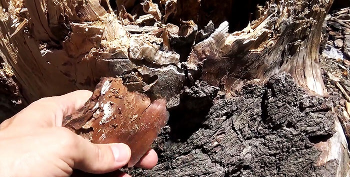 Hur man tänder en eld med en plastpåse
