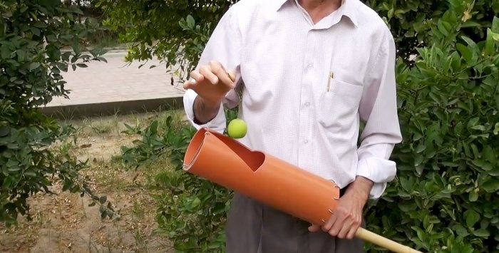 Vienkārša ierīce augļu savākšanai no PVC caurules augstuma
