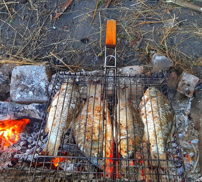 Vaření ryb v sázce