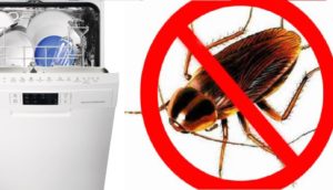 Sådan får du kakerlakker i opvaskemaskinen