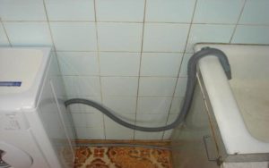 Xả nước thải trực tiếp vào phòng tắm