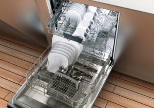 Dishwasher Life